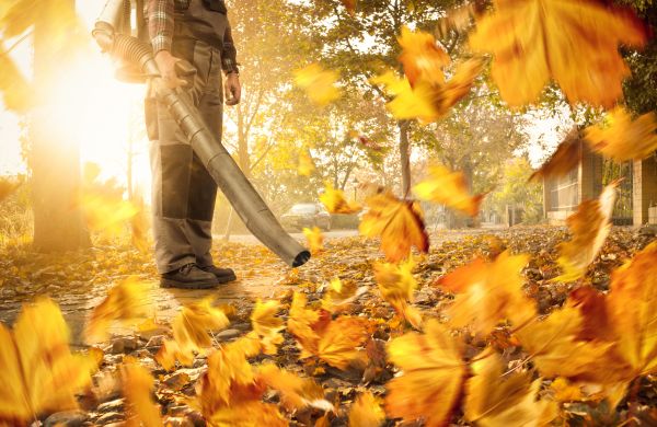 Leaf Blowing Service in West Jordan