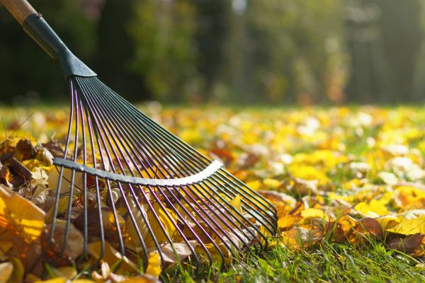 Leaf Cleanup Service in West Jordan