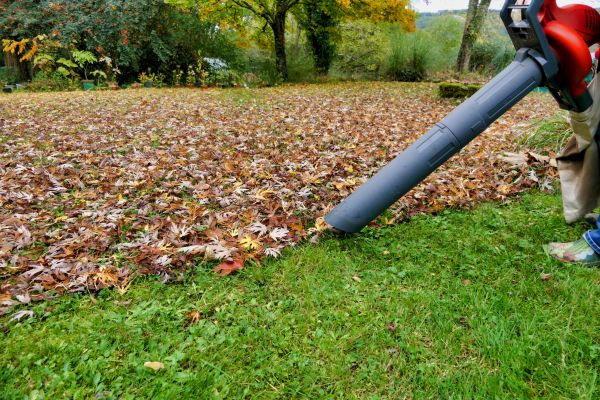 Leaf Vacuuming Service in West Jordan