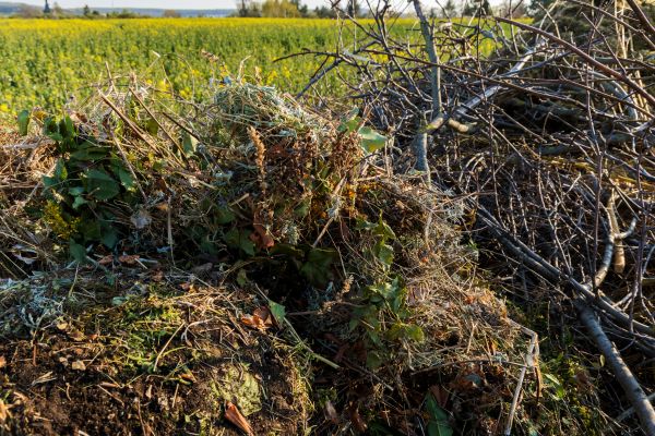 Brush Disposal in West Jordan