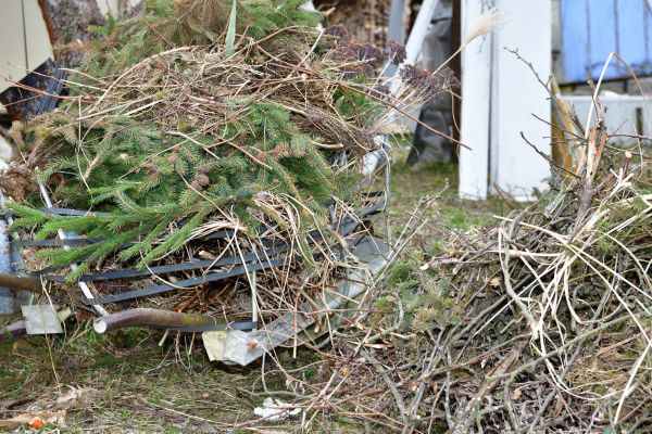Yard Waste Removal Service in West Jordan