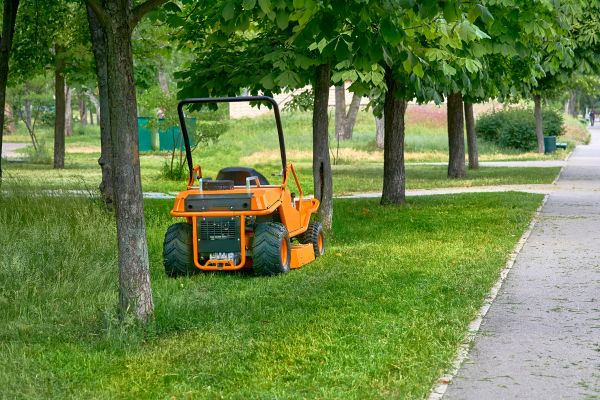 Landscaping Cleanup Service in West Jordan