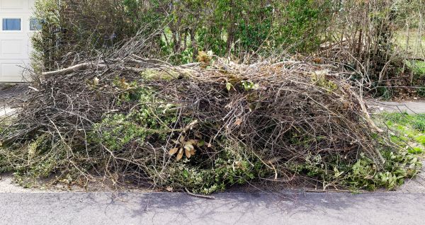 Tree Limb Cleanup in West Jordan