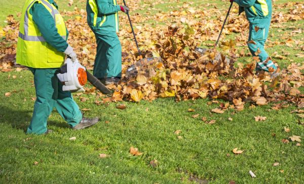 Leaf Maintenance in West Jordan