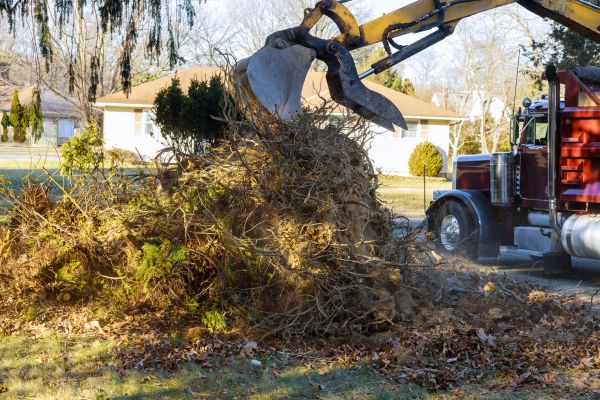 Storm Debris Removal in West Jordan