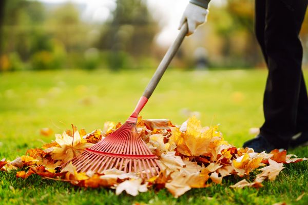 Ditch Leaf Removal in West Jordan
