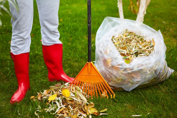 Leaf Disposal Service in West Jordan