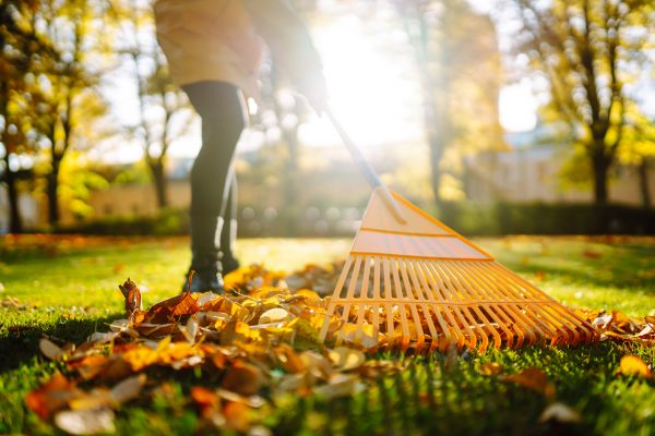 Leaves Raking in West Jordan