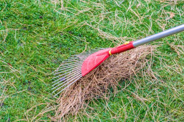 Yard Raking in West Jordan