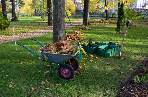 Leaf Clearing Service in West Jordan