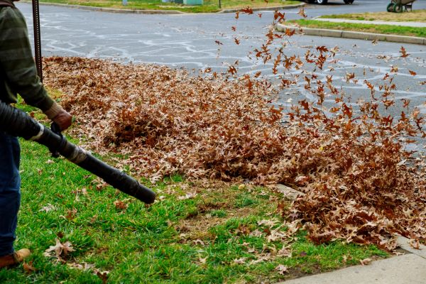 Garden Leaf Removal in West Jordan