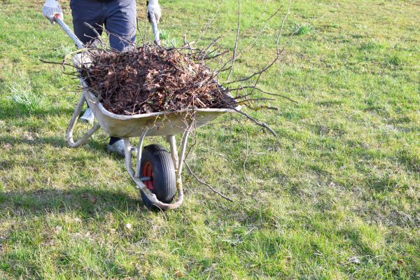 Yard Brush Removal in West Jordan