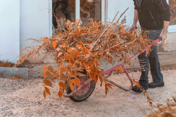 Cost of Lawn Debris Cleanup in West Jordan