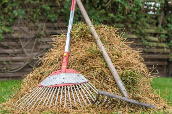 Pine Straw Clearing in West Jordan