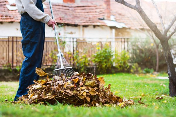 Spring Lawn Cleanup in West Jordan