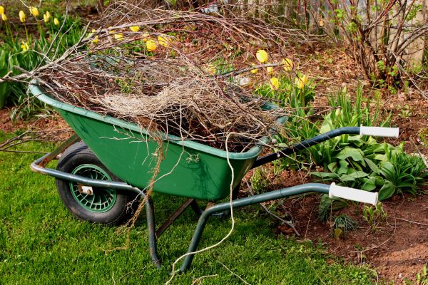 Lawn Waste Removal in West Jordan