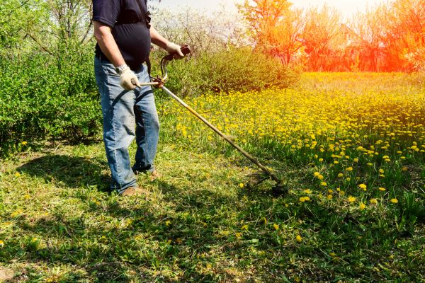 Yard Clearing Service in West Jordan