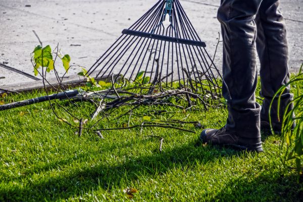 Yard Debris Cleanup in West Jordan