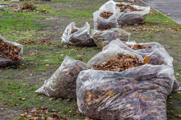 Leaf Pile Disposal in West Jordan