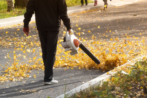 Commercial Leaf Removal in West Jordan