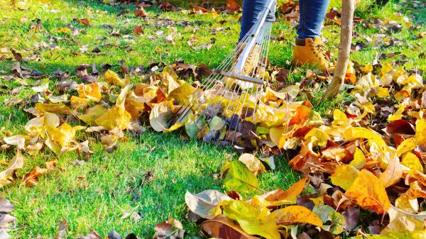 Lawn Cleanup Service in West Jordan