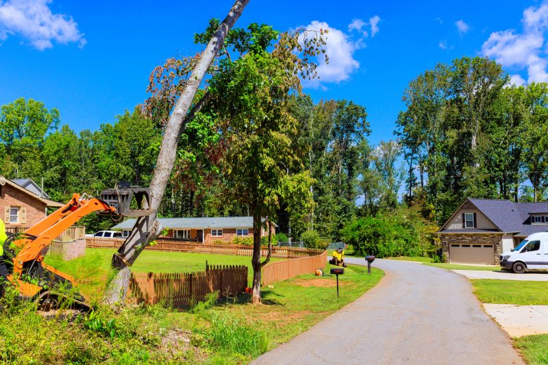 Commercial Leaf Removal detail