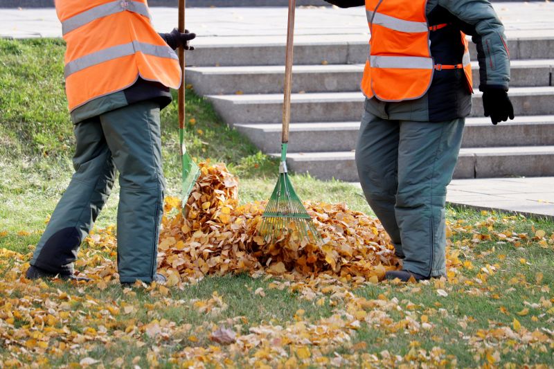Leaves Raking